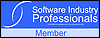 Software Industry Professional