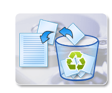 Deleted File Recovery