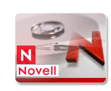 Novell Data Recovery Services