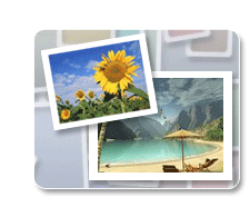 Digital Photo Recovery