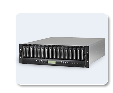 RAID Server